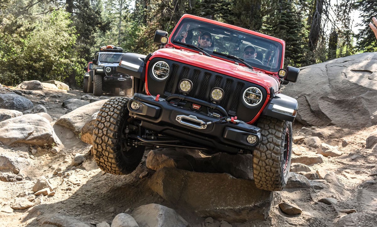 Jeep Wrangler Rubicons navigate forest.