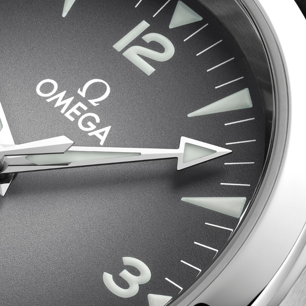 OMEGA Railmaster